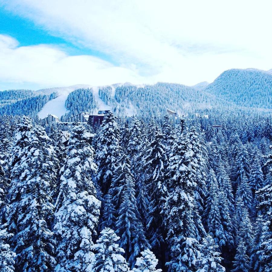 Mountain Paradise In Aparthotel Borovets Gardens المظهر الخارجي الصورة