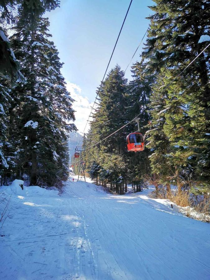 Mountain Paradise In Aparthotel Borovets Gardens المظهر الخارجي الصورة